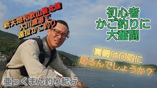 【初心者かご釣り奮闘中】新天地和歌山最北端で探り釣り