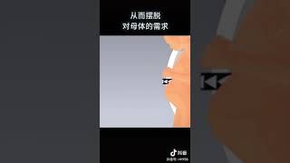 人造子宫就要来了！你会接受吗？