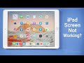 iPad Touch Screen Not Working? Here Is the Fix!