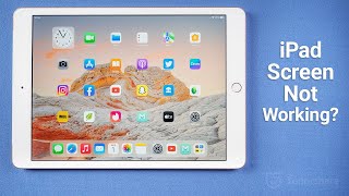 iPad Touch Screen Not Working? Here Is the Fix!