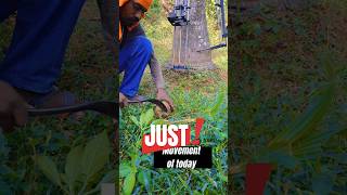 amazing coconut flower cutting | Indian village natural food #food #தேங்காய் #nature #streetfood