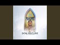 Akpe (Radio Edit)