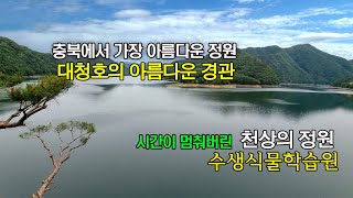 천상의 정원  옥천수생식물학습원 - 충북꼭가볼만한곳