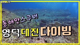 동해 영덕 대진 스쿠버다이빙ㅣ대진해수욕장 고래불해수욕장 다이빙ㅣ10월 가을 스쿠버다이빙