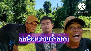 สาธิต ตายต่ำลาว || ສາທິດຕາຍຕ່ຳລາວ