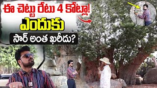 రూ. 4 కోట్ల చెట్టు | 4 Crore Rupees Worth Tree | Experium Eco Park