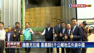 魏應充拉線 嘉義縣5千公噸地瓜外銷中國－民視新聞