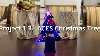 The RSGC ACES Christmas Tree