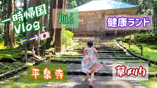 実家満喫。草刈り、平泉寺、健康ランドなど/スウェーデン北部在住の一時帰国Vlog6