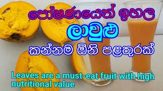 Leaves are a must-eat fruit with high nutritional value | ලාවුළු වල ගුණ ඔබව විමතියට පත් කරාවි