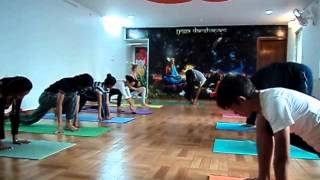 7 Types Sun salutations and Longest Flow of the Yogadarshanam School