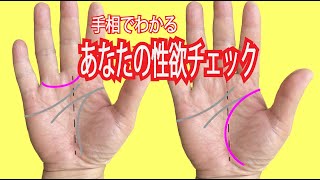 【必見】手相を見ればわかる「あなたの性欲」