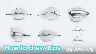 How to draw lips by Chommang (Tutorial)