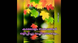 Goodnight Quotes#malayalamquoteswhatspstatus#