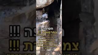 אהרן קוגמן - תיעוד : חשיפה צמרמורת זו מערת רשב\