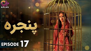 Pakistani Drama | Pinjra - Episode 17 | Aplus Gold | Yumna Zaidi, Nauman Aijaz | CZ1O