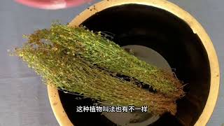 田基黄：传统文化的当代传承与启示