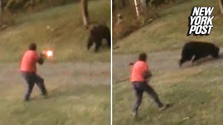 Grizzly bear takes shotgun blast at point-blank range and keeps charging | New York Post