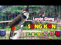 Luyện Giọng Chào Mào Song Kon - Phương Pháp Luyện Giọng Hiệu Quả Đỉnh Cao !