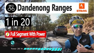 1 in 20 Full Strava segment with data. Dandenong Ranges, Victoria Australia