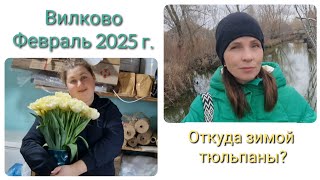 Измаильский район. ДОЖДЬ. ХОЛОДАЕТ. ЧУДА НЕ СЛУЧИЛОСЬ... Откуда силы идти дальше?