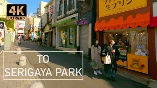 🇯🇵 WALK from MACHIDA Station to Serigaya Park - TOKYO - beginning of afternoon⎡ 4K ⎦