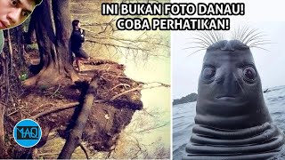 INI BUKAN FOTO DANAU! COBA PERHATIKAN INILAH 40 an Foto yang Mungkin Bisa Membuatmu Bingung!