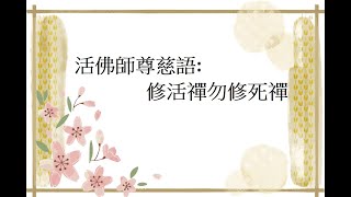 活佛師尊慈語:修活禪勿修死禪