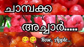 ആദ്യ പരീക്ഷണം വിജയിച്ചു...🥰#ross apple..pickel...🦋😋#cooking #vlog #please_subscribe_my_channel