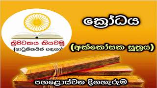 ක්‍රෝධය (අක්කෝසක සූත්‍රය) - ත්‍රිපිටකය කියවමු