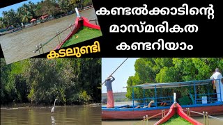 Kadalundi | Mangrove forest | Boat ride | Kadalundi birds sanctuary