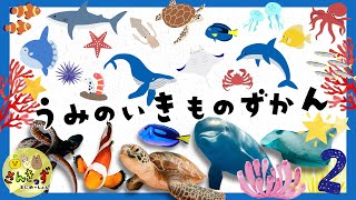 【海の生き物ずかん2】水族館にいる海の生き物たちを探そう！イルカ サメ ウミガメなど17種類のいきものとおさかなさんが大集合【子供向け 海の生き物知育アニメ】