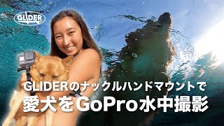 【GoProアクセサリー】ナックルハンドルマウントでルルを水中撮影