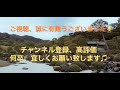 ガンダム ウォーズ 取るならこの機体！今年も来たぞ！年末超お得なガシャフェス！