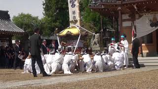 淡河八幡神社　秋季例大祭（御旅神事）　on　2017-10-1　その5　神輿の境内練り合わせ