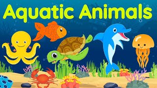 Aquatic animals | Sea animals | Aquatic animals for kids | Sea animals for kids | Water animals
