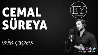 Cemal Süreya - Bir Çiçek ⎮ŞİİR⎮