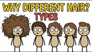 Why Do Humans Have Different Hair Types?