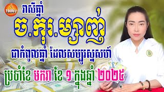 រាសីឆ្នាំ ច.កុរ.ម្សាញ់ ជាឆ្នាំដែលល្អ នៅដើមខែ មករា ខែ ១ | ម៉ែគ្រូCat3horo | Today Khmer Horoscope