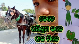 ବିନା ପରିଶ୍ରମରେ ଫଳର ଆଶା ନାହିଁ#viral#dailyvlog @AjayManisha29 @mrskisanvillagevlogs4536