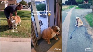 Sometimes dogs only choose the part they want to listen