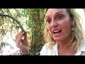 a secret island adventure with cam u0026 rio isla coiba panama we found weird plants and animals