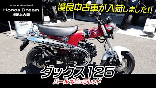 【元レンタルバイクの優良中古車】低走行のダックス125をご紹介します！ホンダドリーム横浜上大岡