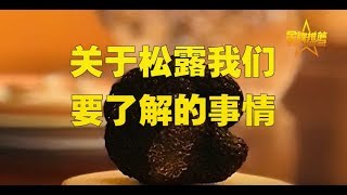 高大上的知识点！关于松露你了解多少？什么是松露/松露烹饪/松露料理/黑松露/松露怎么吃/松露挑选/白松露/松露料理菜单/松露保存方法/松露保鲜