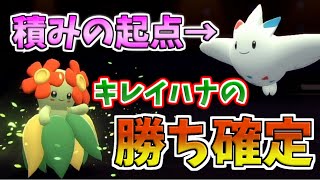 【ダイパリメイク】キレイハナで全抜き！？タイプ相性を超越するとか最強すぎるだろ・・・・【ポケモンBDSP】