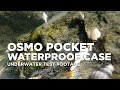 DJI Osmo Pocket Waterproof Case | Underwater Test Footage - Dji Osmo Pocket