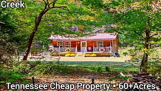 Tennessee Farms For Sale | $289k | Tennessee Cheap Land For Sale | Cheap Cabin 60+ Acres