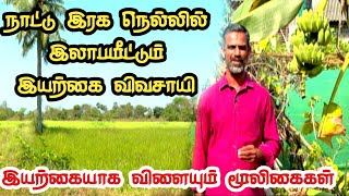 நாட்டு ரக நெல்லில் இலாபமீட்டும் இயற்கை விவசாயி | Organic Farming | Paddy Cultivation | Malarum Boomi