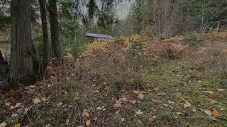 Lot 150 Anglemont Drive Anglemont, BC V0E 1M8