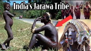 Andaman and nicobar Tribes video #andaman #jarawa